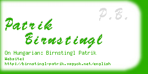 patrik birnstingl business card